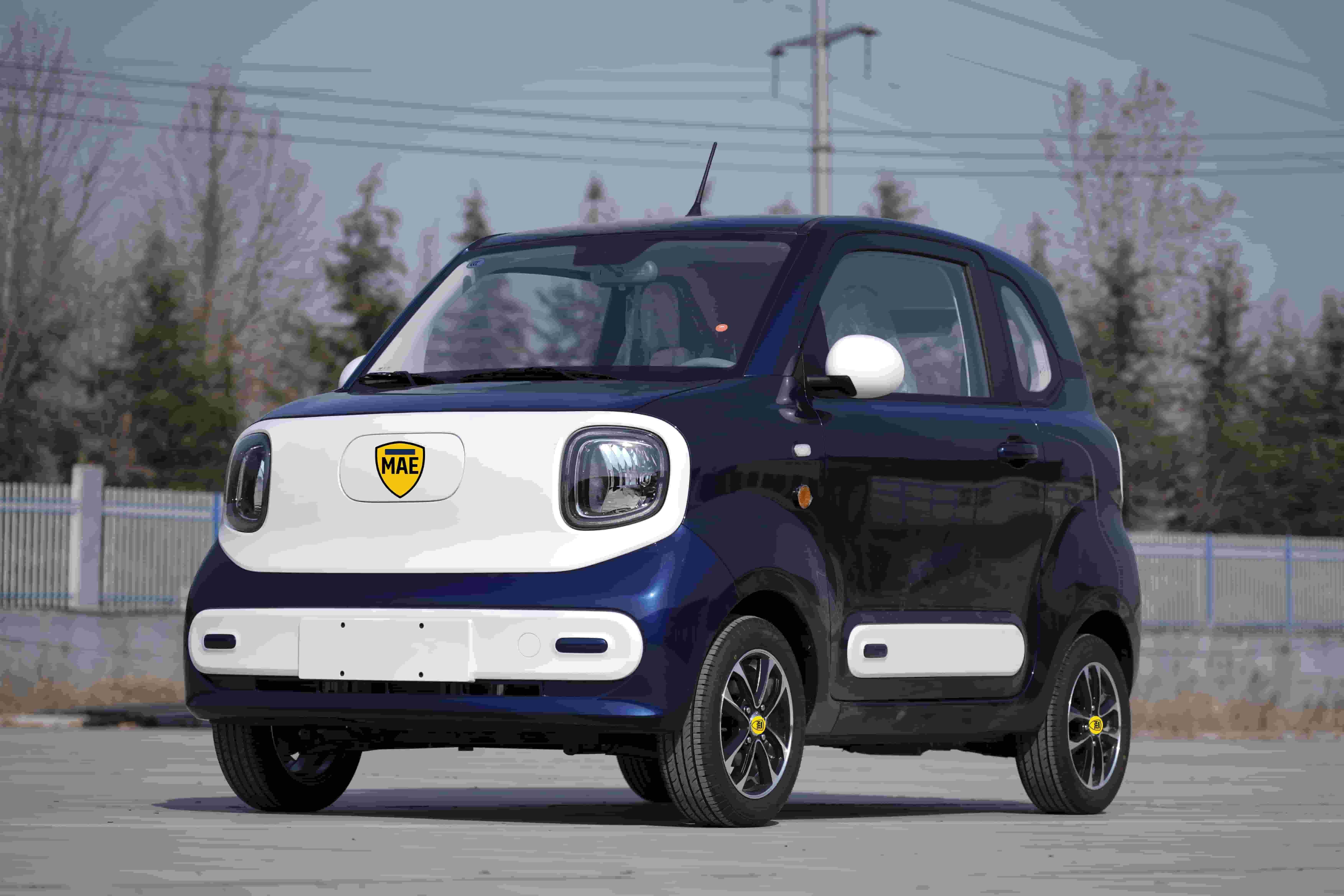 라틴 아메리카의 BENTU 파트너 Mae