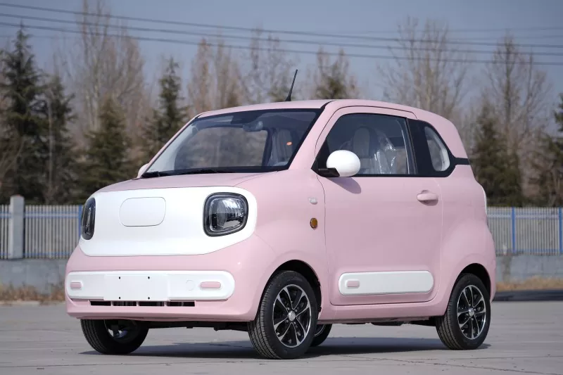 Electric Mini Car
