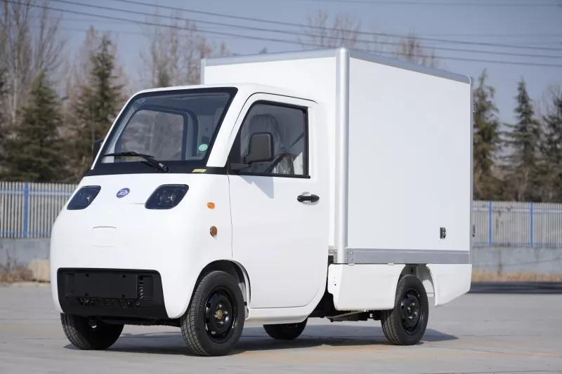 Mini electric food delivery vehicle